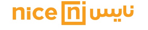 Nice Store Logo Large